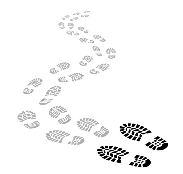 Fig1-footprint