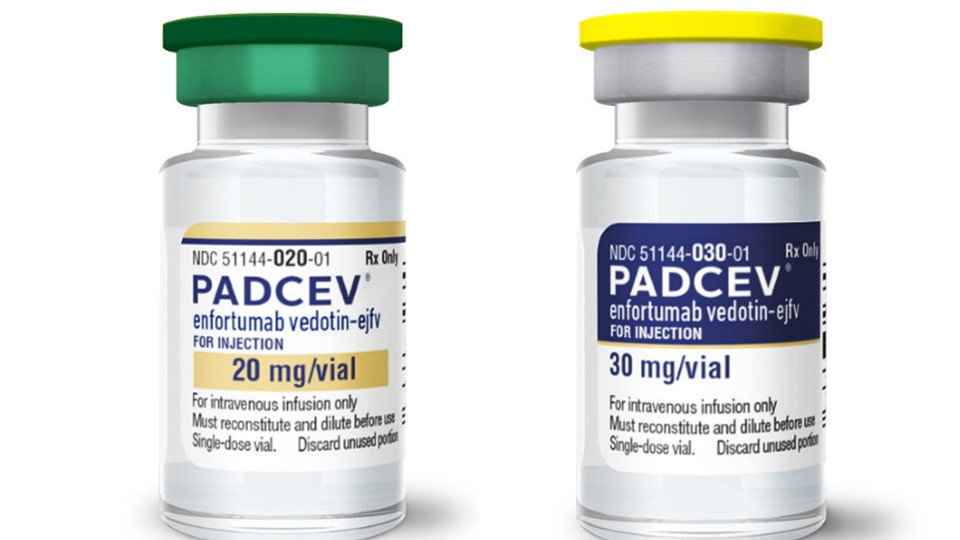 FDA starts review of Padcev/Keytruda for bladder cancer | pharmaphorum