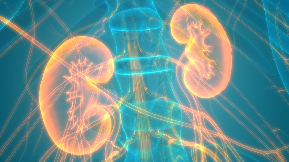 NHS trust rolls out digital health tool for kidney disease