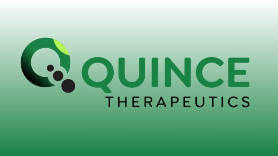 Bankruptcy threat looms as Quince runs out of options