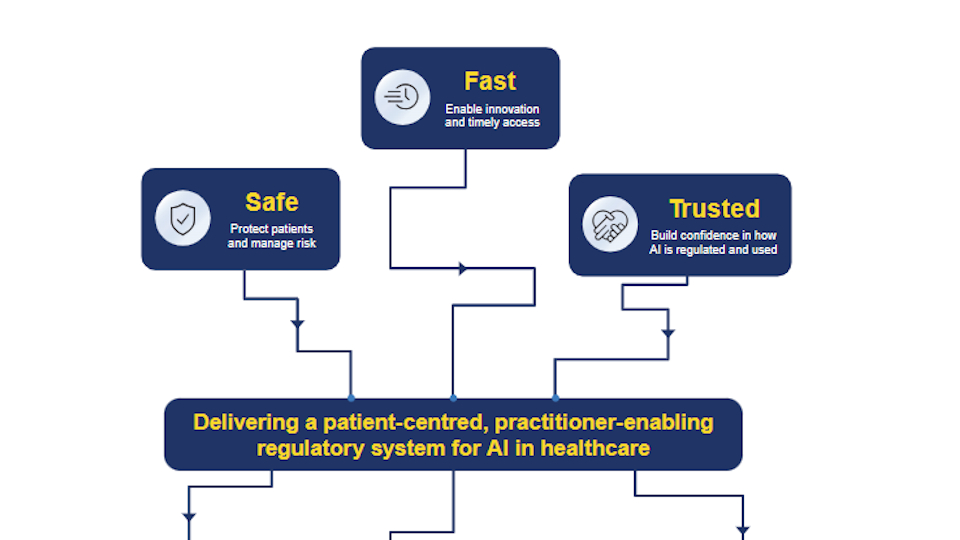 UK review recommends 'L plates' for new healthcare AIs