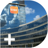 Data backs GSK's ovarian cancer blockbuster hopes