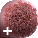 ASCO 2026 reshapes oncology trial design