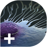 liquid-biopsy-and-future-tumour-agnostic-treatments