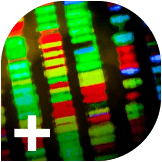 short-reads-big-impact-how-genomics-revolutionising-cancer-research