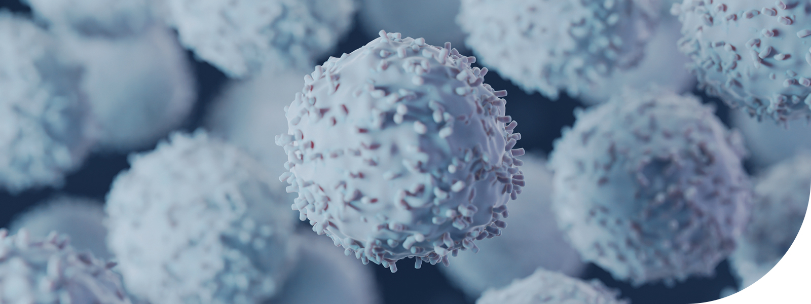 T cells visual