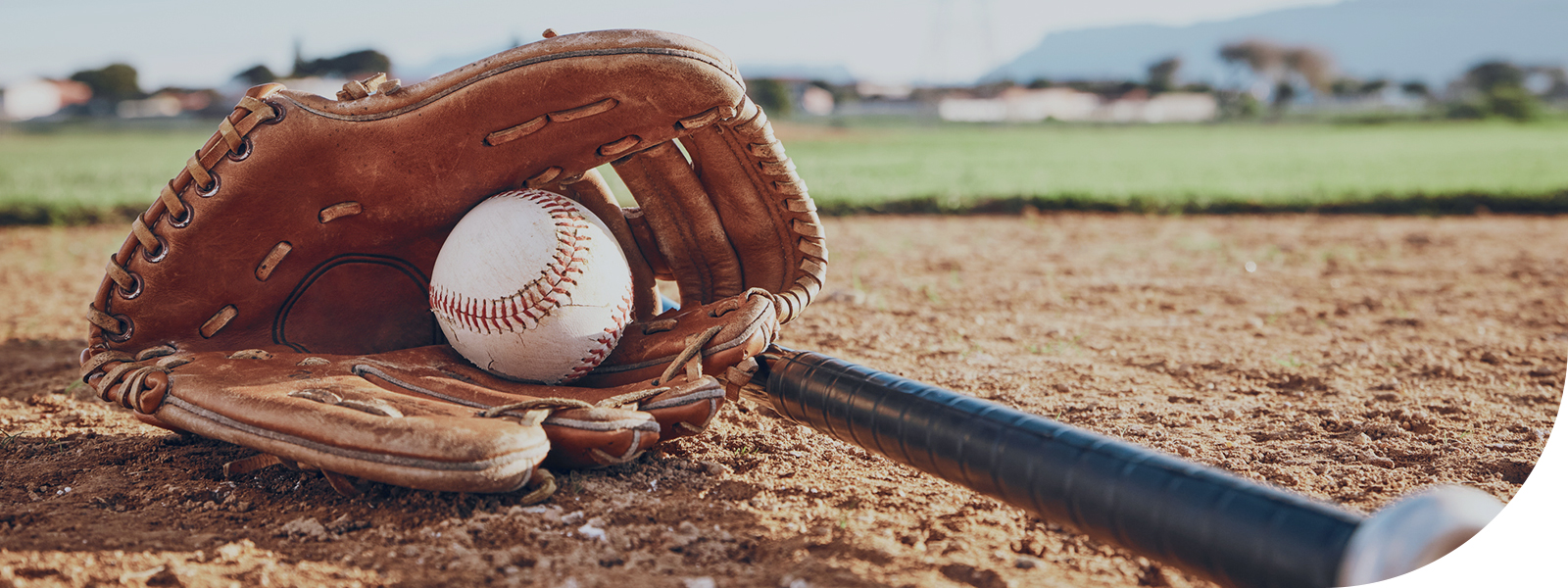 baseball glove and bat