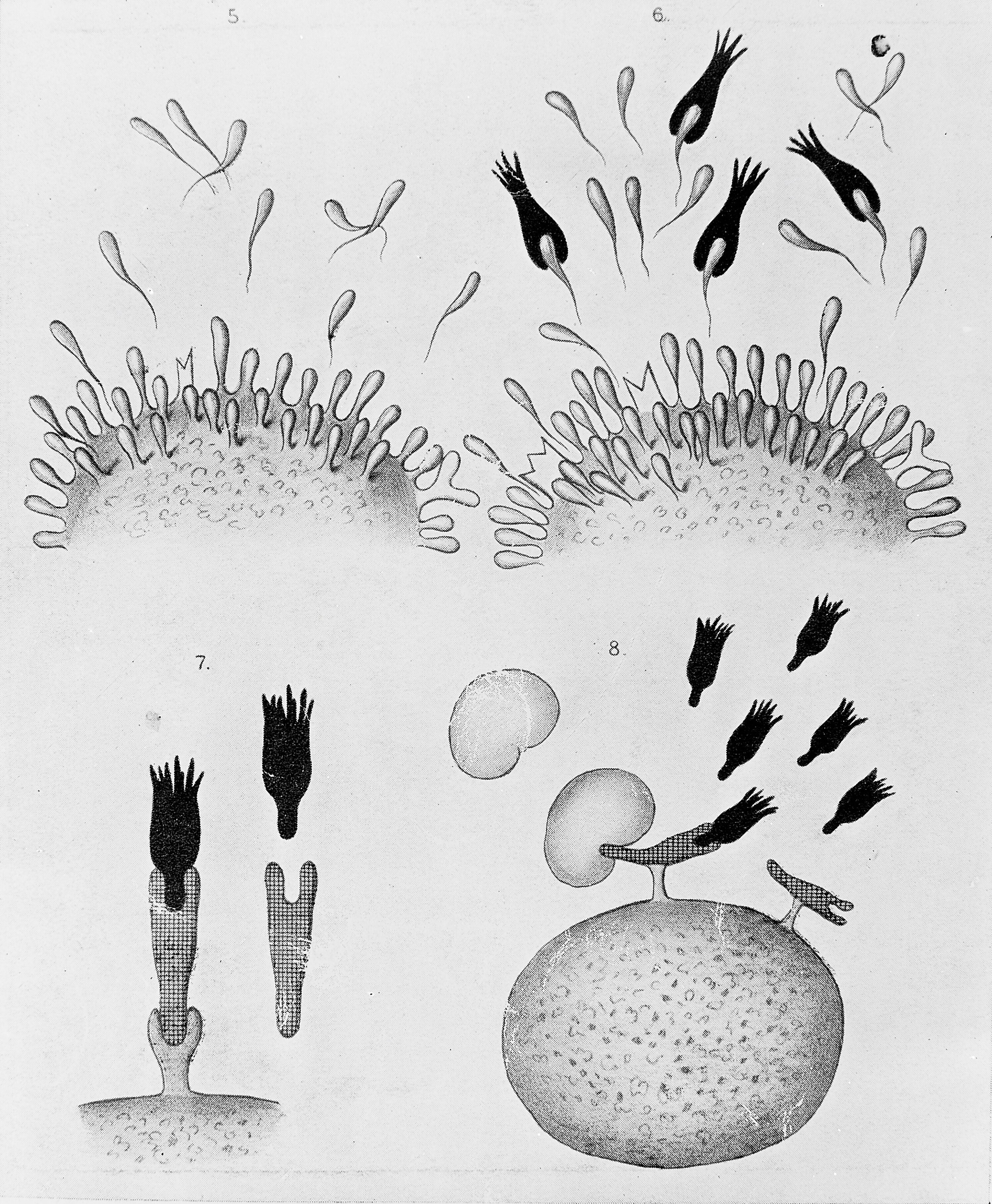 Diagrams 