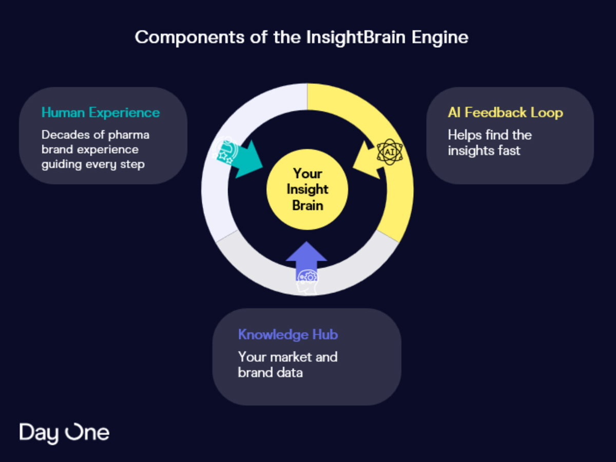 Components of the InsightBrain Engine figure