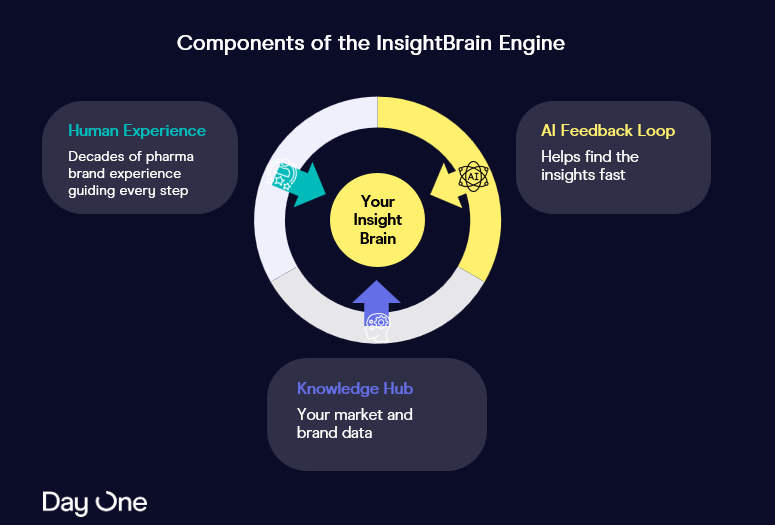 Components of the InsightBrain Engine