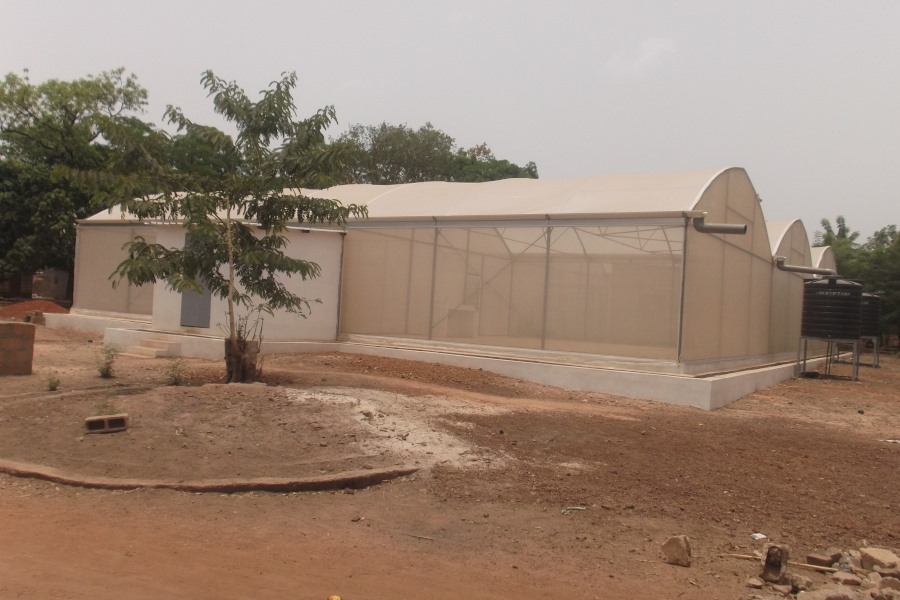 MosquitoSphere in Burkina Faso
