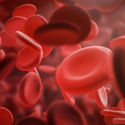 haemophilia blood illustration