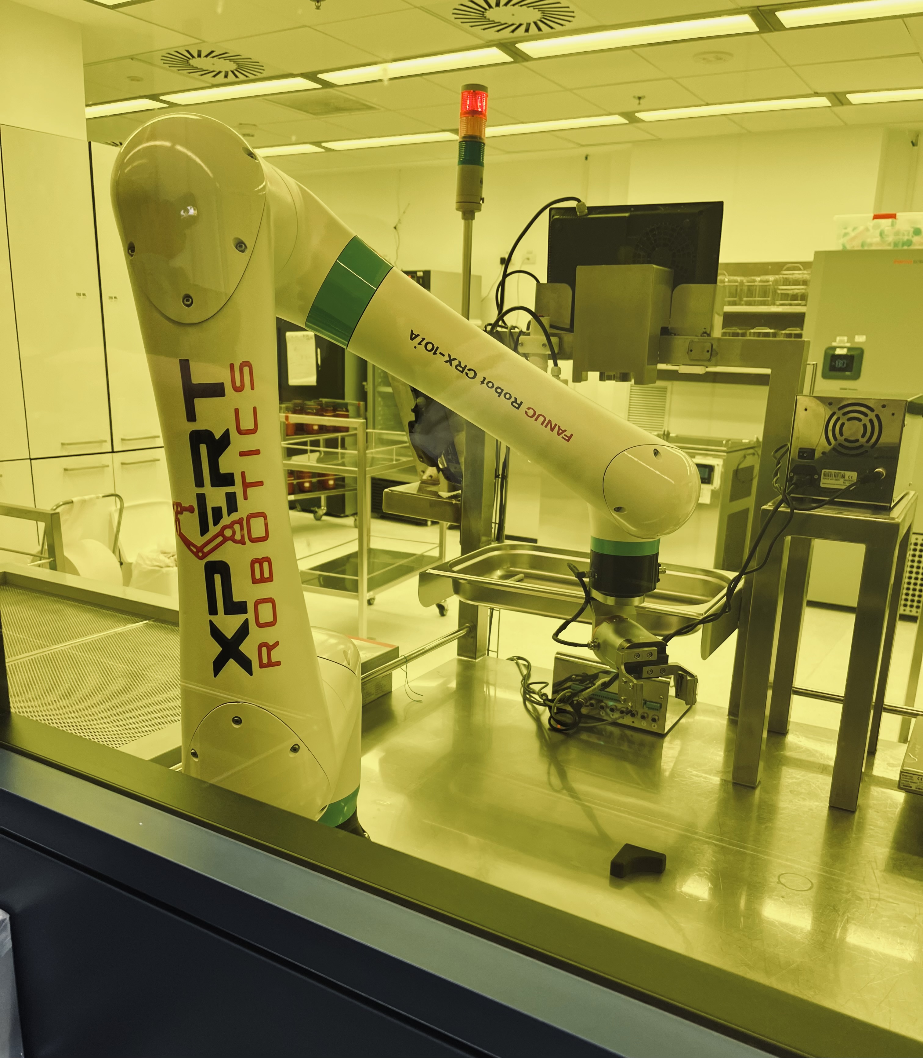 Image by Nicole Raleigh