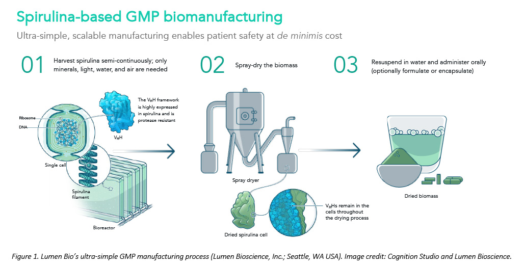 spirulina-based GMP biomanufacturing figure