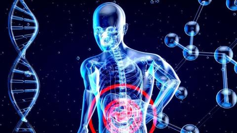 DNA Molecules