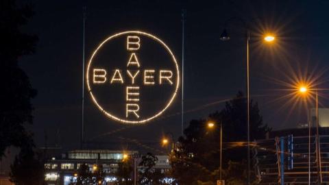 Bayer