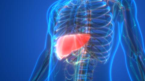 fatty liver disease