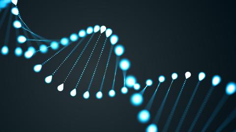 gene chromosome molecule