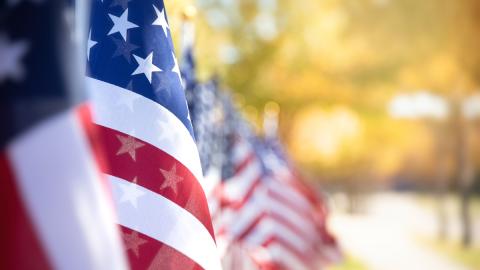 USA Flags, State of the Union speech