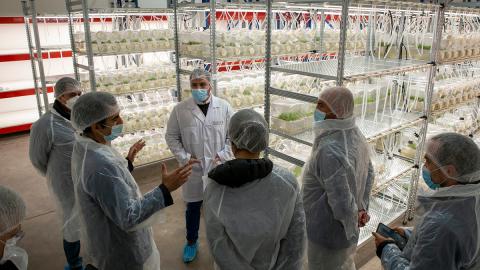 Group of people in lab where Quillaja saponaria trees grow