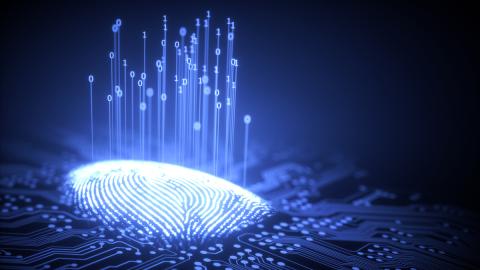 biometrics binary fingerprint