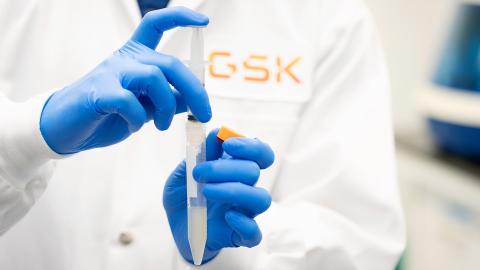 GSK scientist with test tube