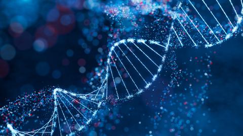 DNA strand in genetics