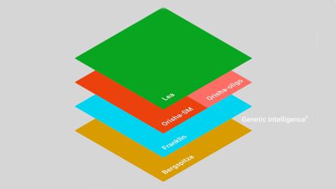 Genetic Leap image of Genetic Intelligence