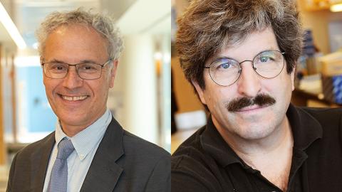 Victor Ambros and Gary Ruvkun share the 2024 Nobel Prize in Physiology or Medicine