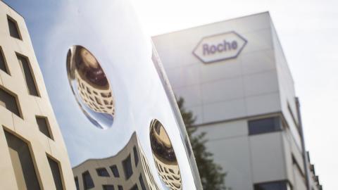 Roche hq