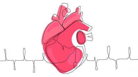 heart illustration