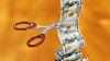‘Seismic shift’ as obesity overtakes cancer for R&D returns