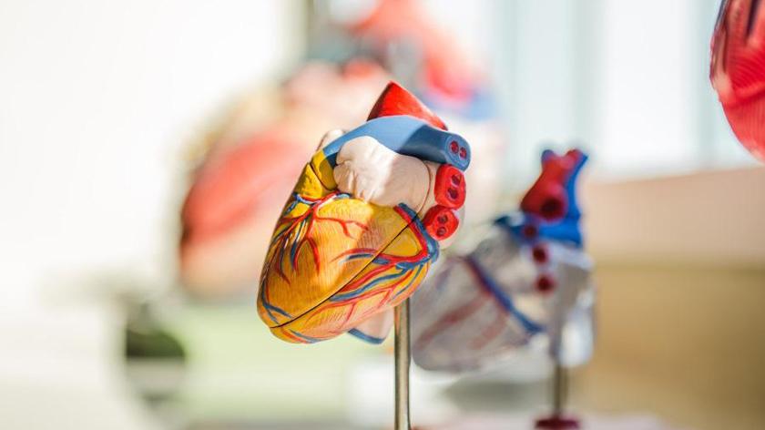 Merck’s cardiovascular pipeline delivers at ACC