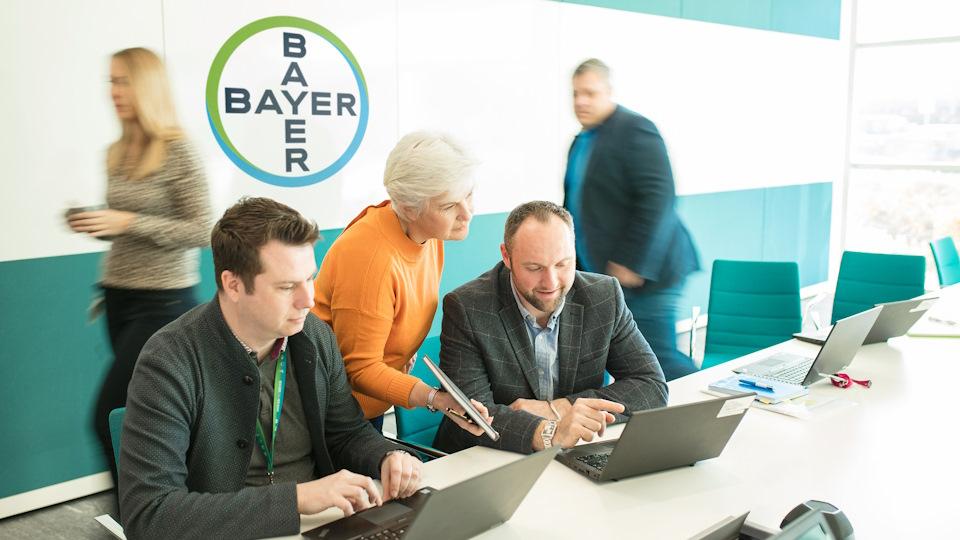 Bayer employees