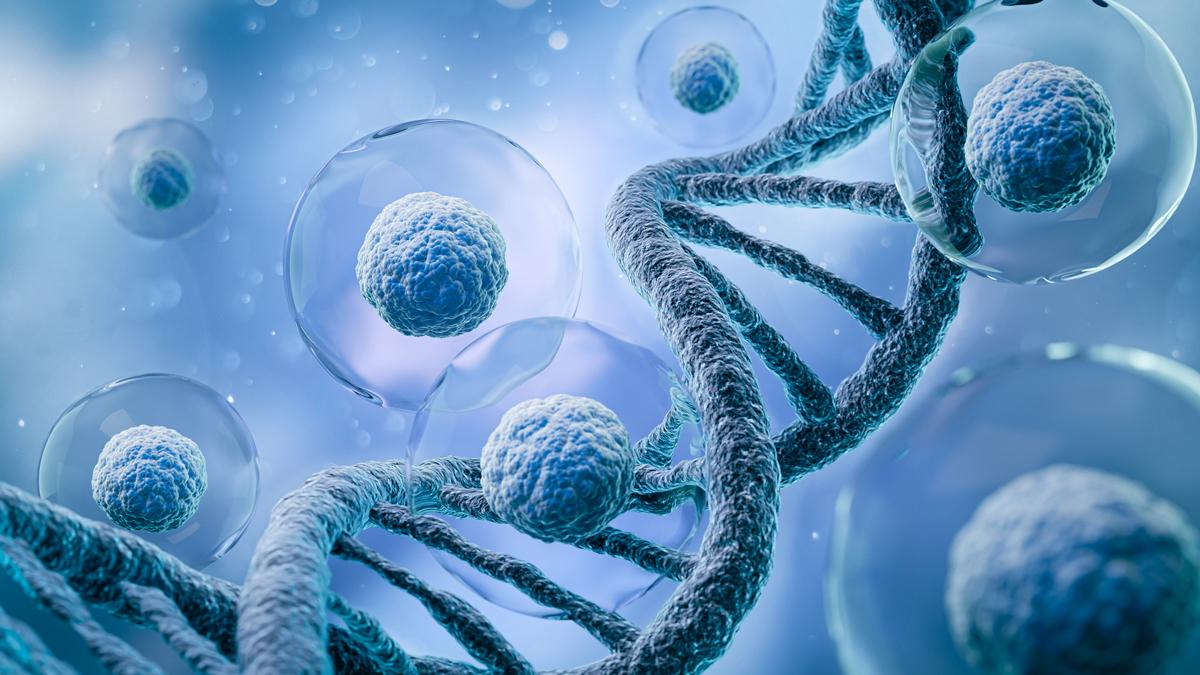 cell and gene therapies