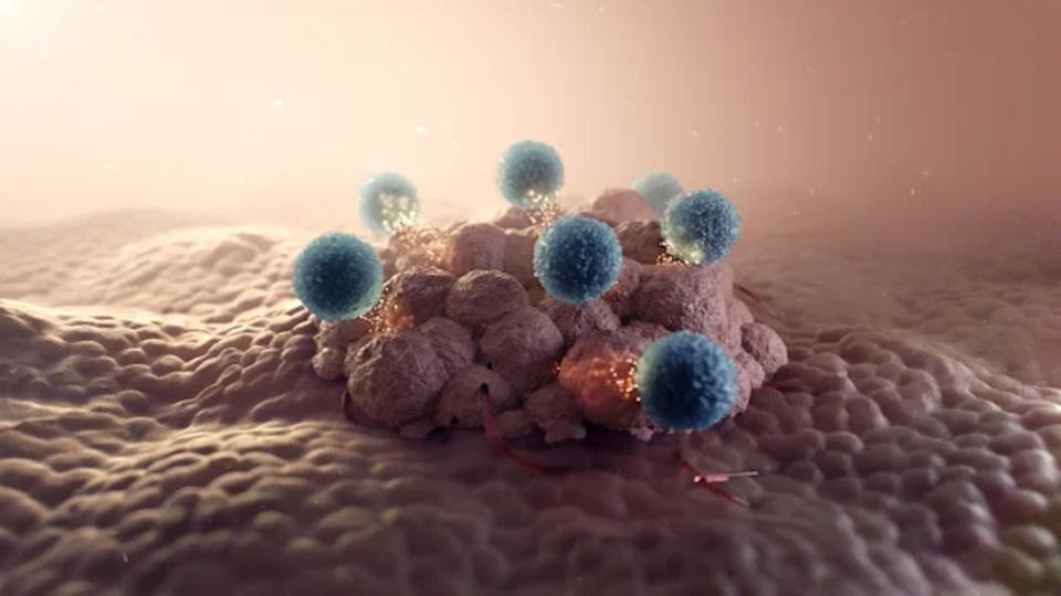 ASCO: AffyImmune claims a first with CAR-T for solid tumours