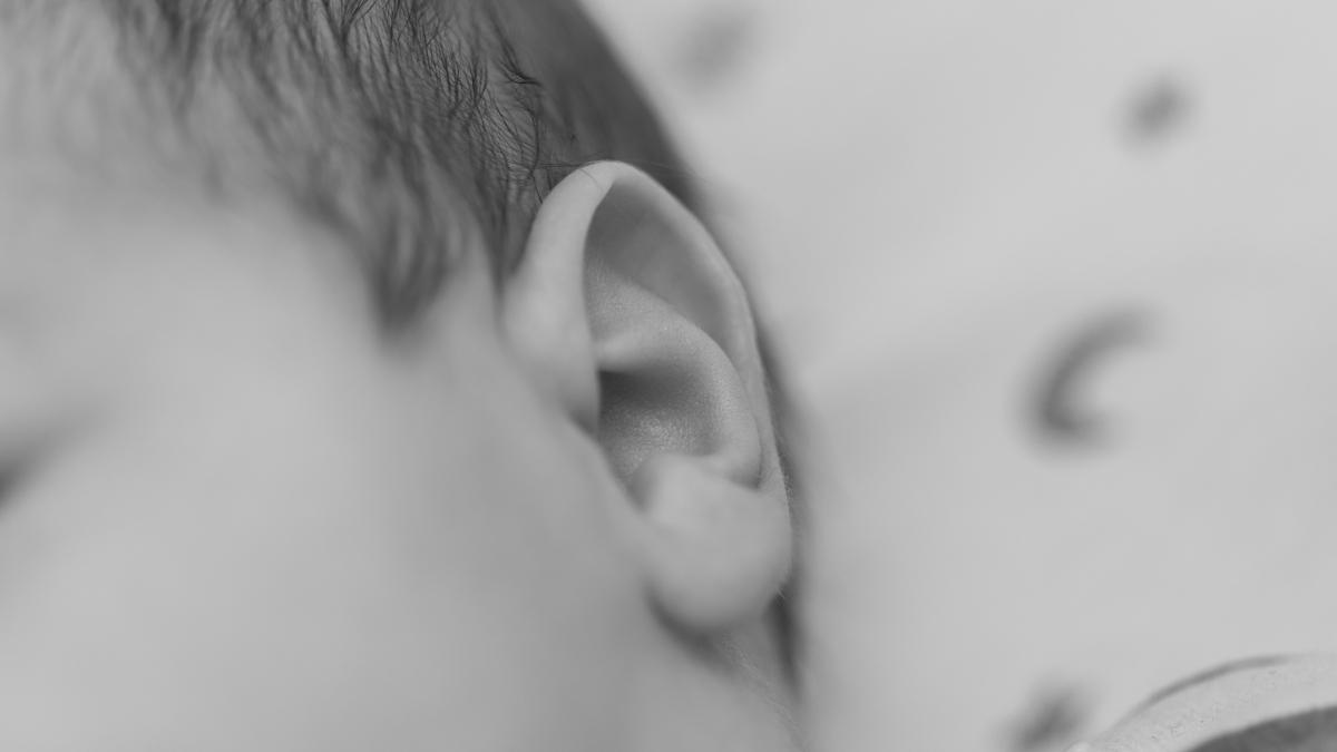 Lilly allies with gene-editing firm Seamless on hearing loss