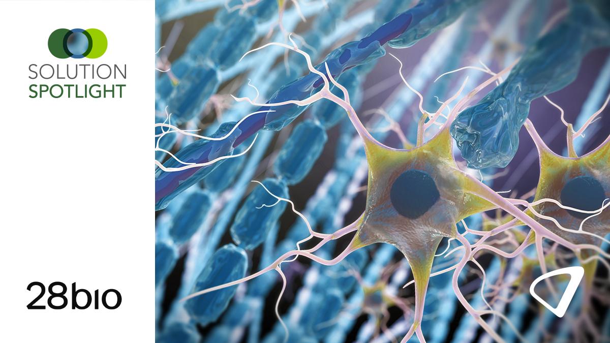 28Bio solution spotlight cells image