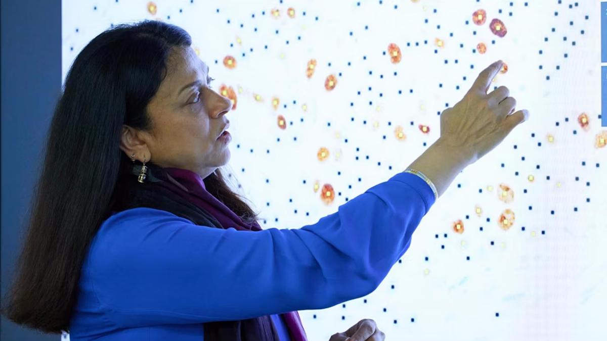 Roche's AI-powered digital pathology open environment in action