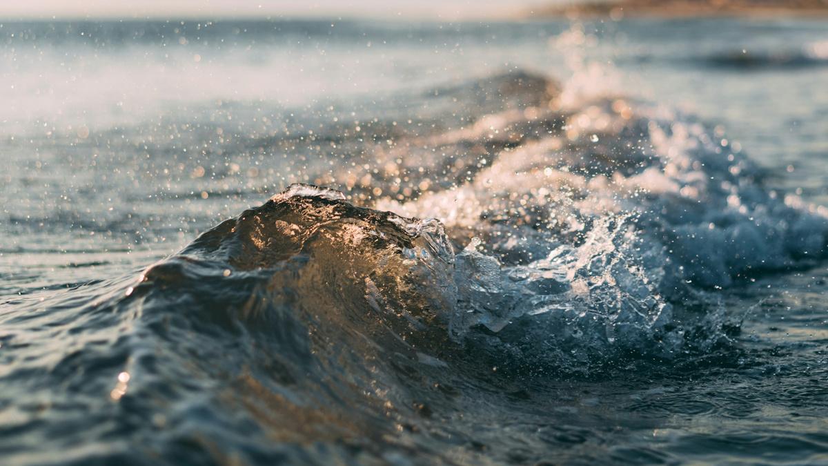 Wave's stock wavers on obesity drug data