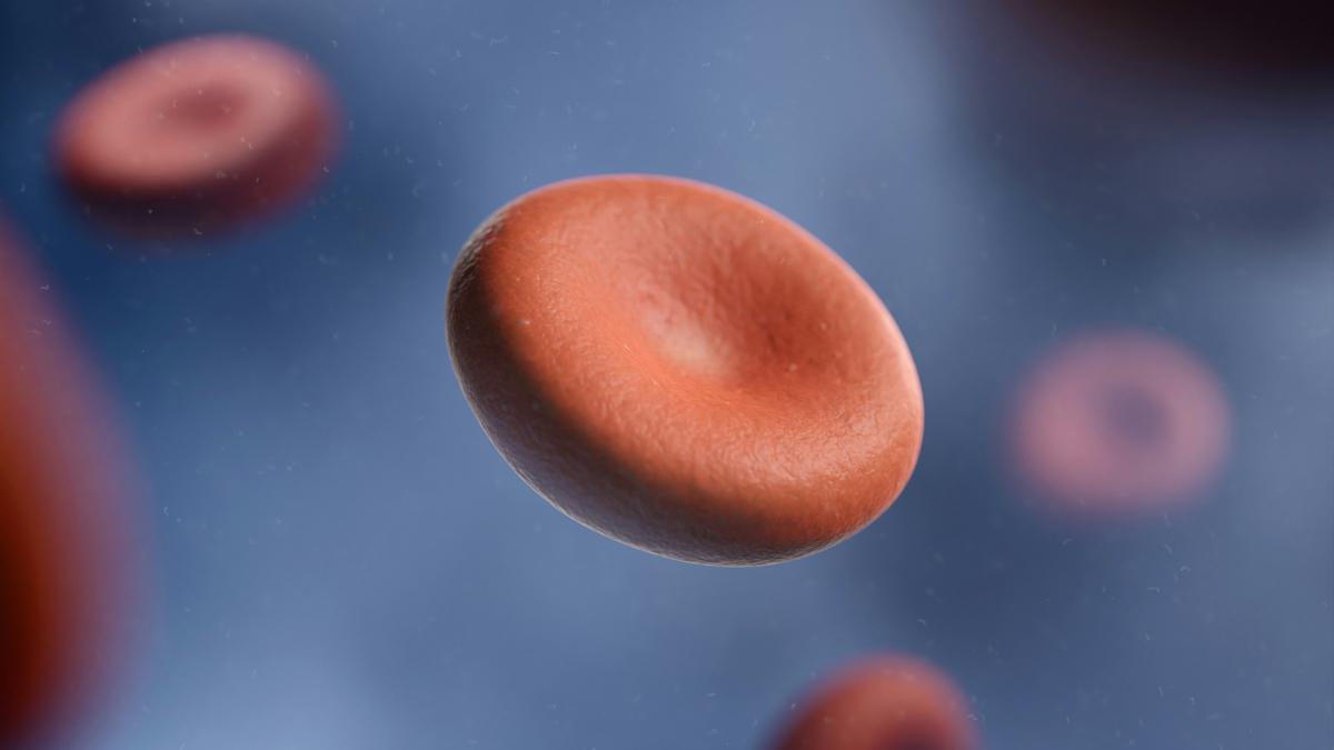 Chinese trial backs base-editing drug for thalassaemia