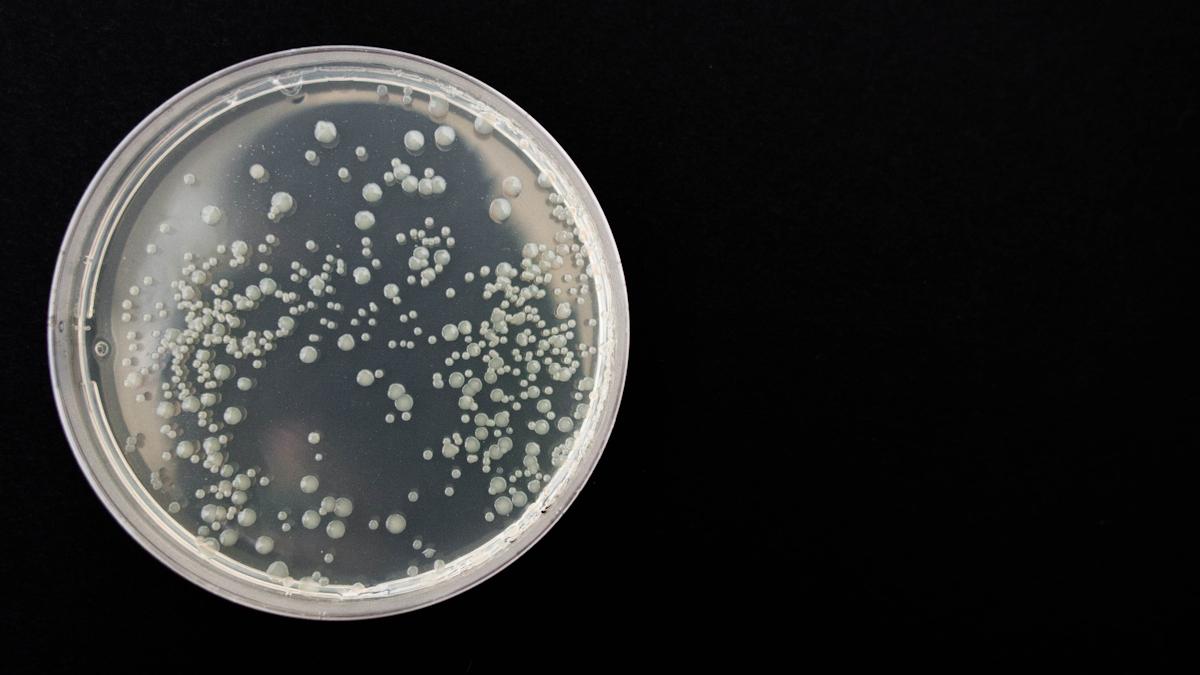 EU invests €30m to fight antimicrobial resistance