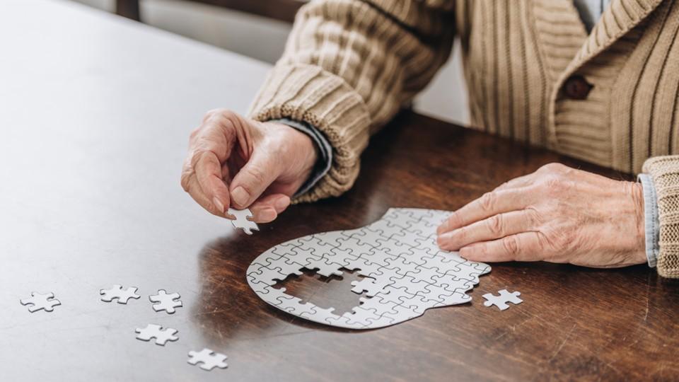 Alzheimer's brain puzzle