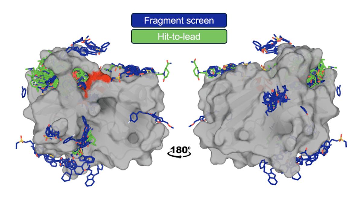OpenBind unveils its first AI model for drug discovery