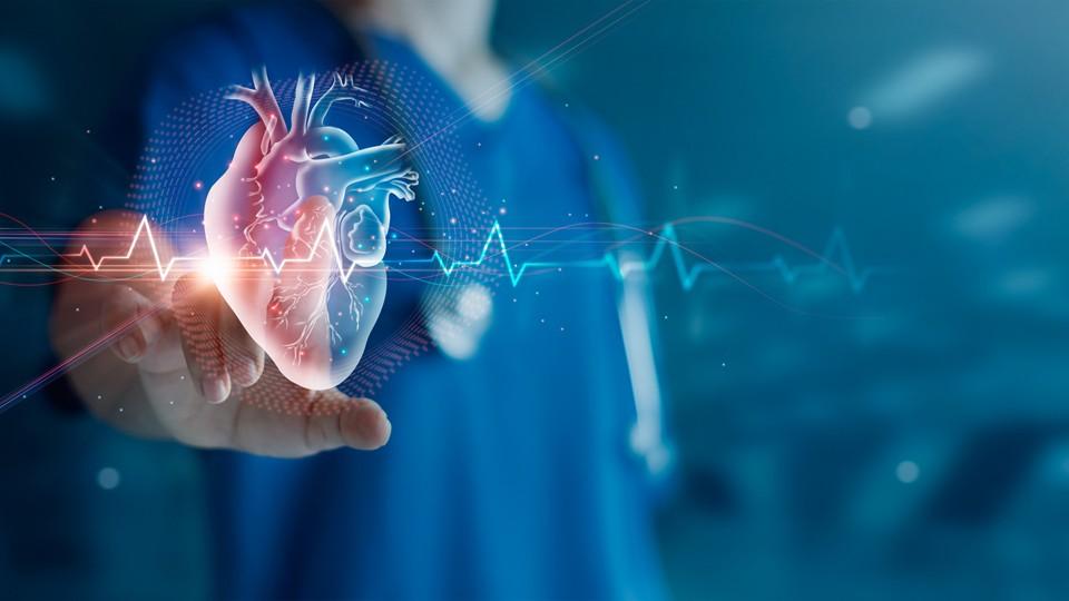 HCP with digital heart and ECG