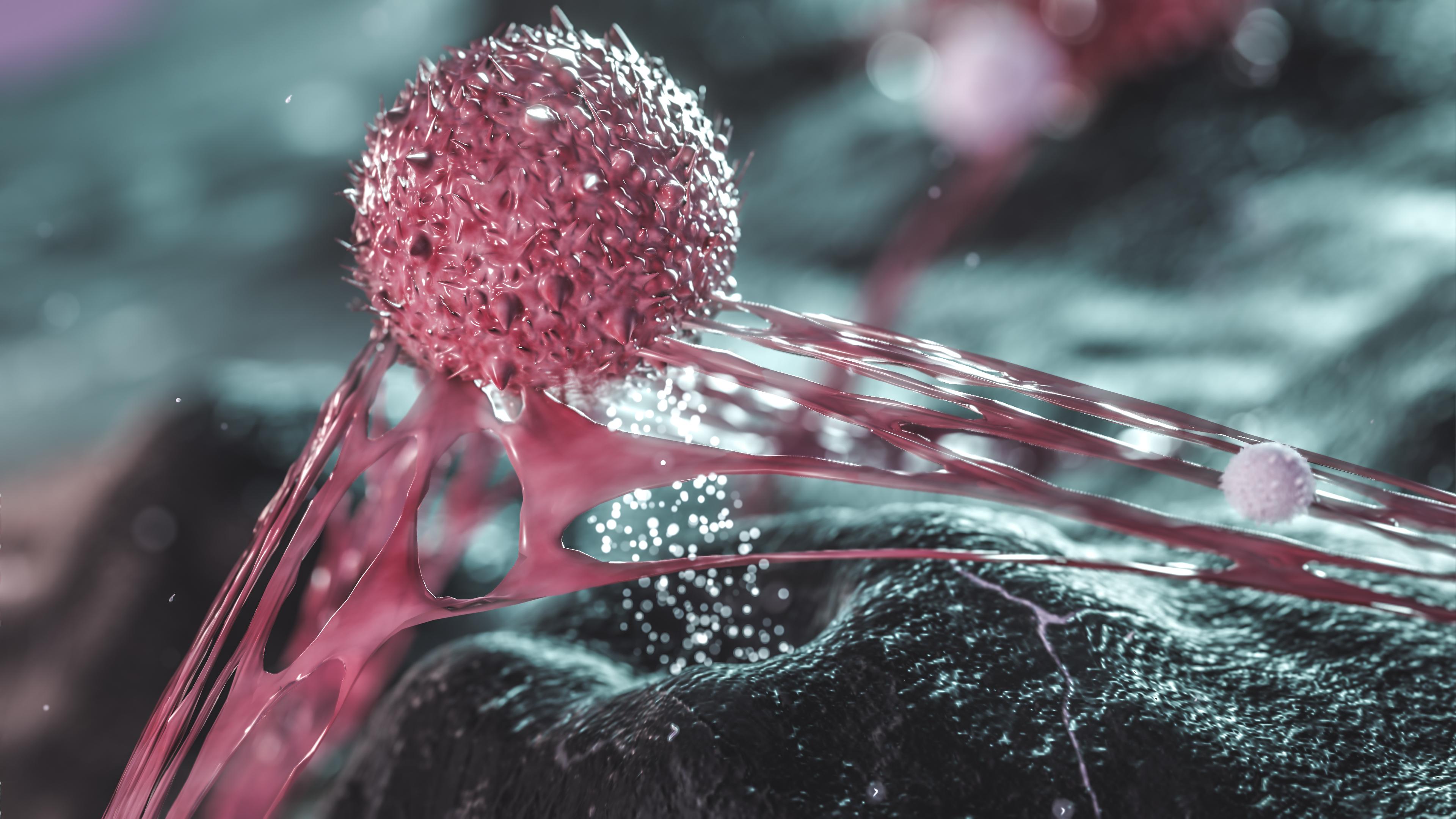 Cancer cell and T-cell