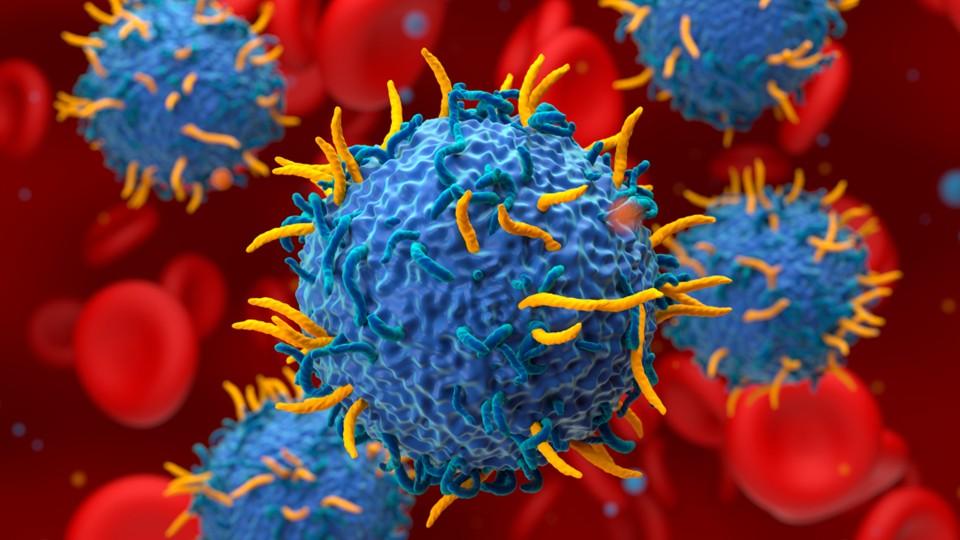 CAR-T close up