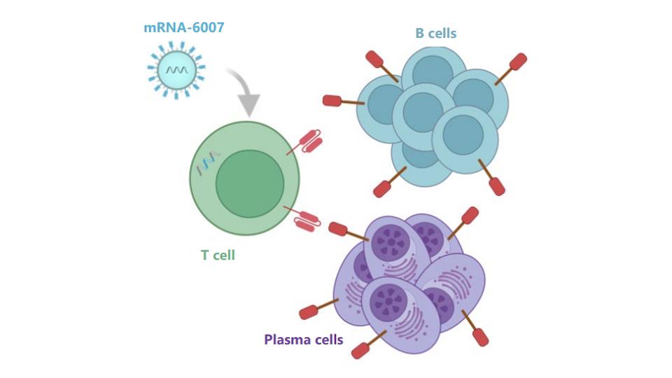 Moderna shows in vivo CAR-T hand in R&amp;D update