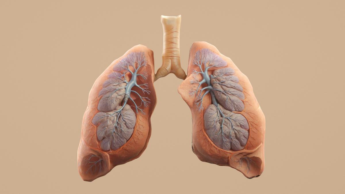 Pfizer's Seagen-derived ADC pipeline suffers a setback