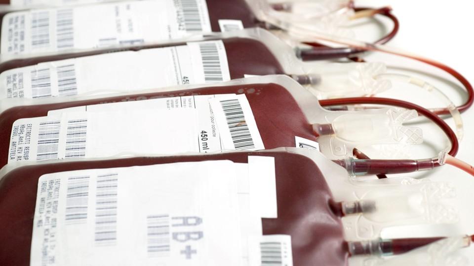 blood bags